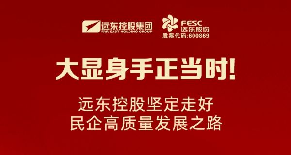 大顯身手正當時！遠東控股堅定走好民企高質量發展之路